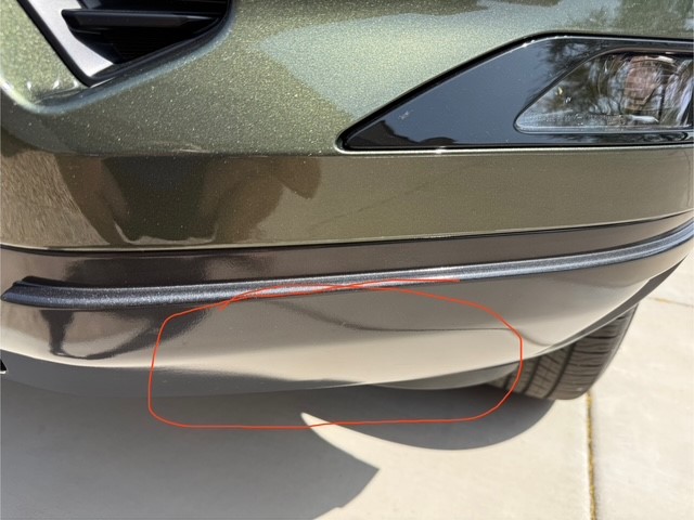 Bumper.jpg