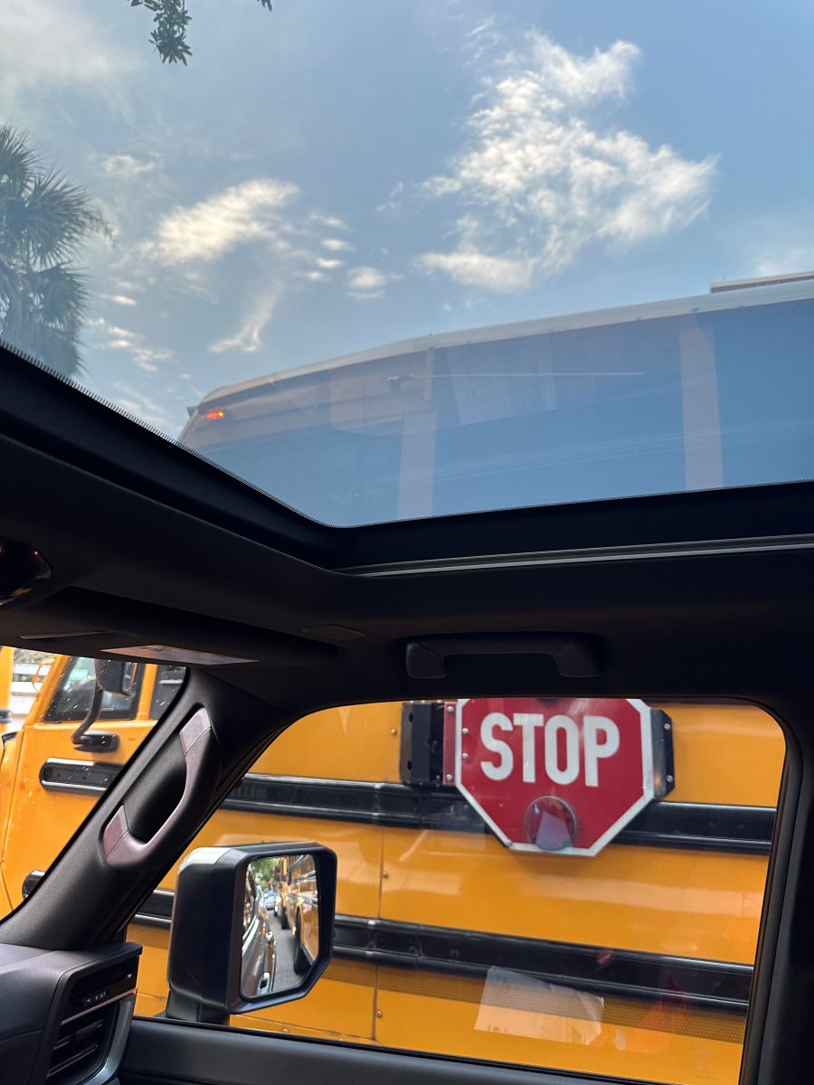 Panoramic glass roof clear2.jpg