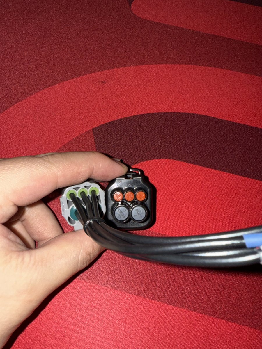 Plug comparison 1.jpg