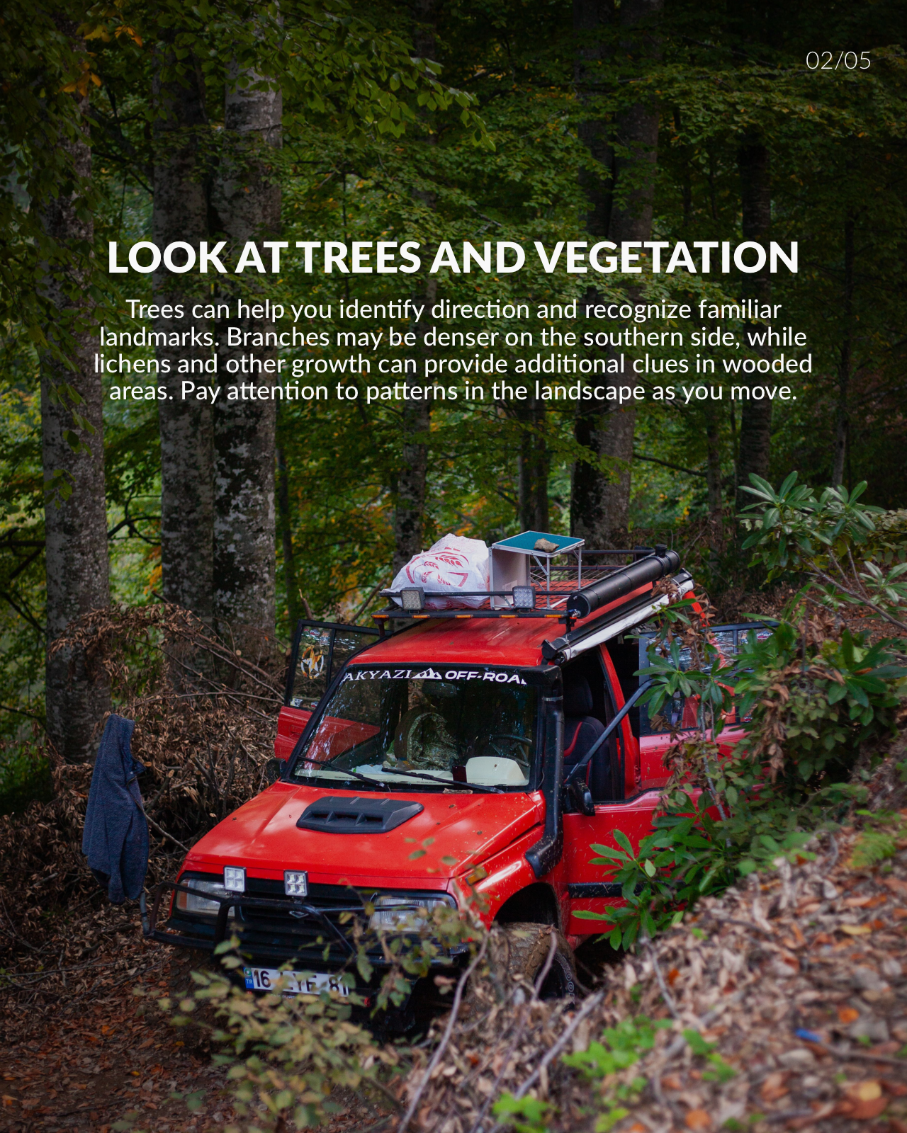 Jeep Wrangler JL  5 natural navigation clues to remember on your next adventure. s&format=pjgp&height=1920&optimize=high&width=1920
